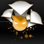 Rocco34's Avatar