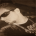 davidckzor's Avatar