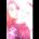 ildefonso45hatfield's Avatar