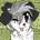 federicobacup's Avatar