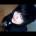 guido47walsall's Avatar
